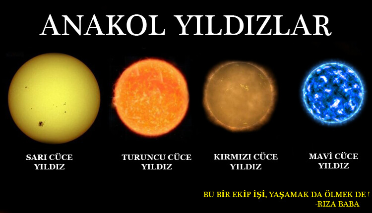 Anakol Yıldız Türleri